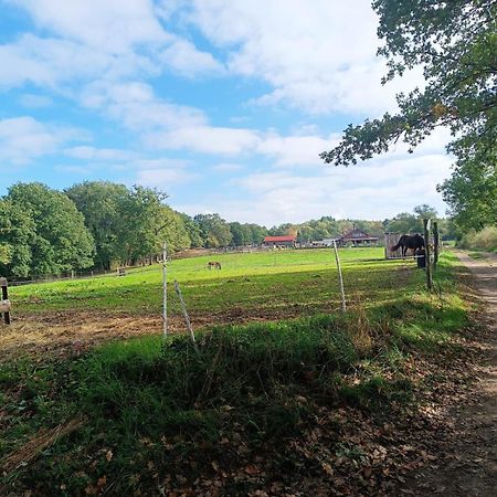 Cap Nature - T3 Et T4 En Perigord Vert - Ideal Pros Et Groupes Max 18P Champniers-et-Reilhac Extérieur photo