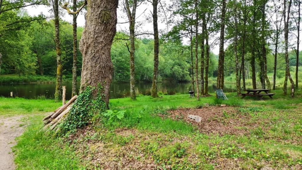 Cap Nature - T3 Et T4 En Perigord Vert - Ideal Pros Et Groupes Max 18P Champniers-et-Reilhac Extérieur photo