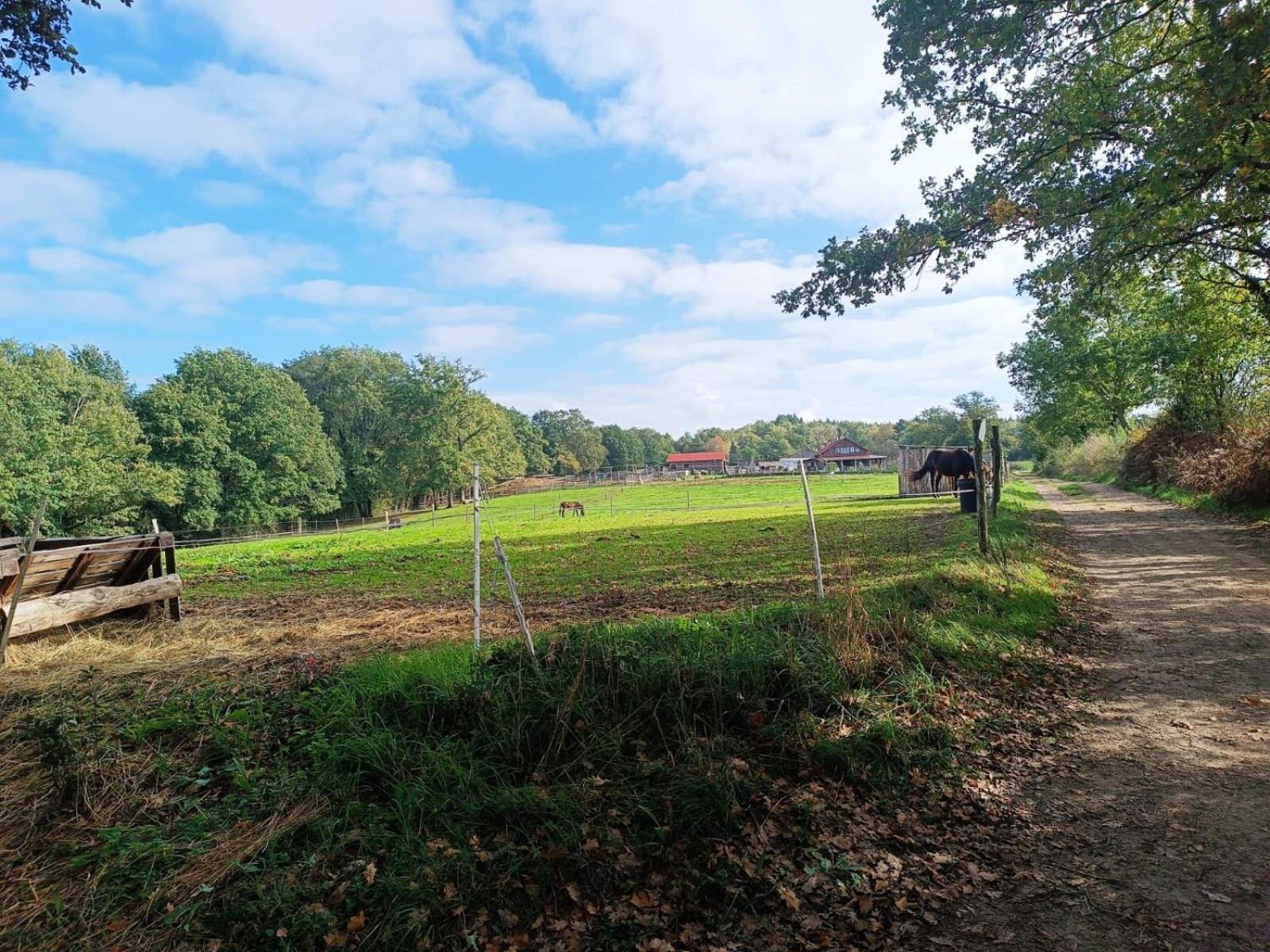 Cap Nature - T3 Et T4 En Perigord Vert - Ideal Pros Et Groupes Max 18P Champniers-et-Reilhac Extérieur photo