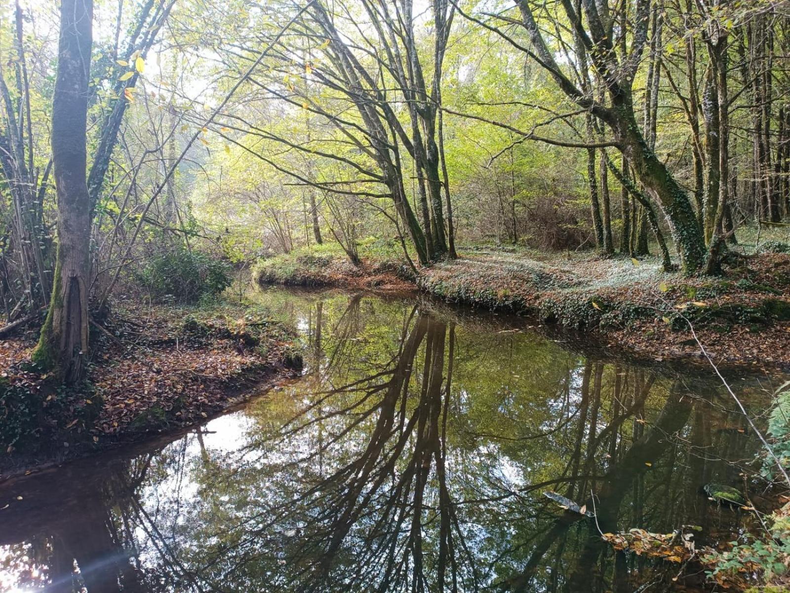 Cap Nature - T3 Et T4 En Perigord Vert - Ideal Pros Et Groupes Max 18P Champniers-et-Reilhac Extérieur photo