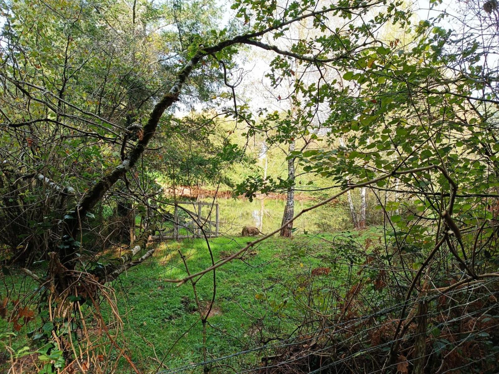 Cap Nature - T3 Et T4 En Perigord Vert - Ideal Pros Et Groupes Max 18P Champniers-et-Reilhac Extérieur photo